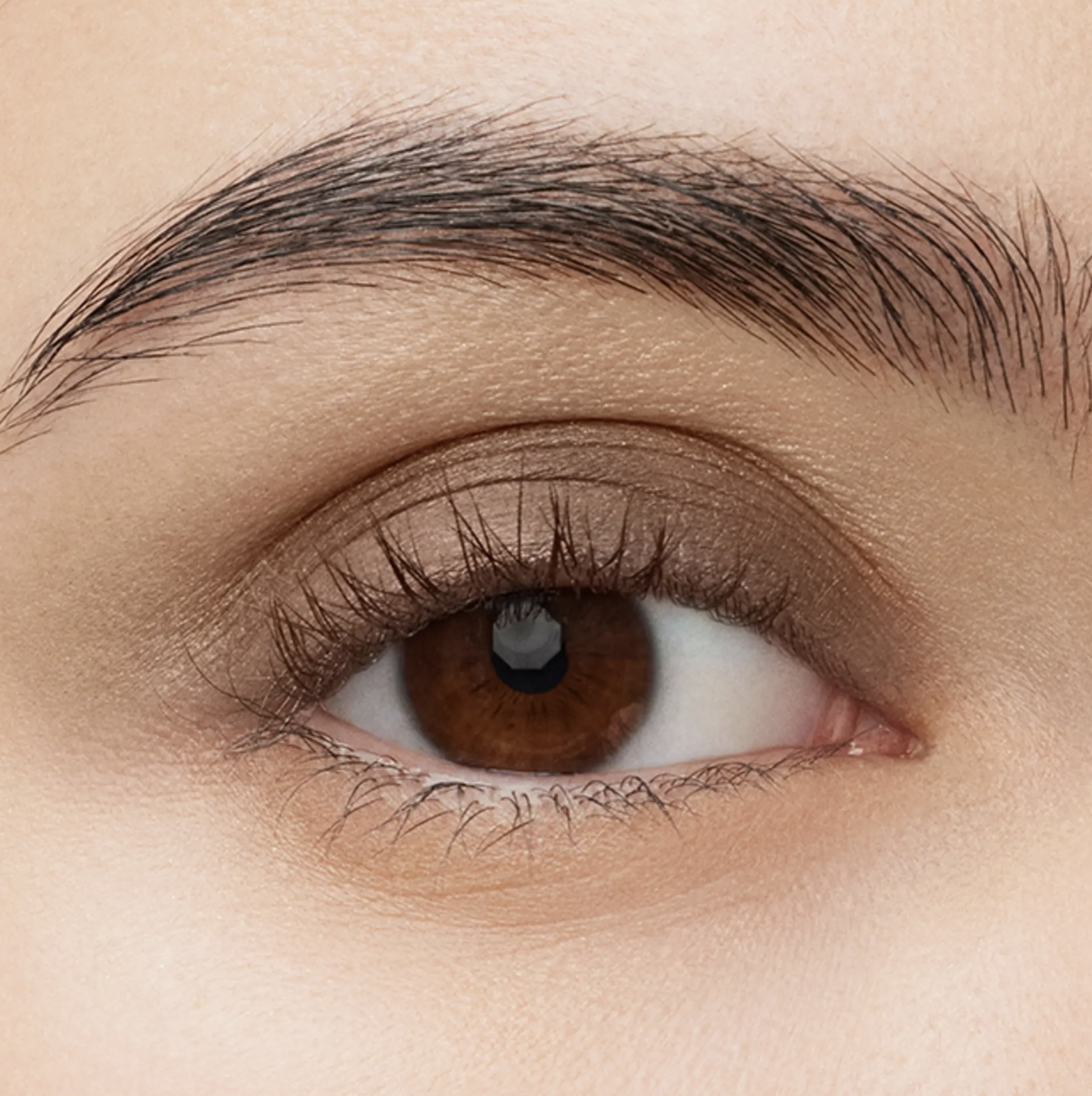 mocha eyeshadow