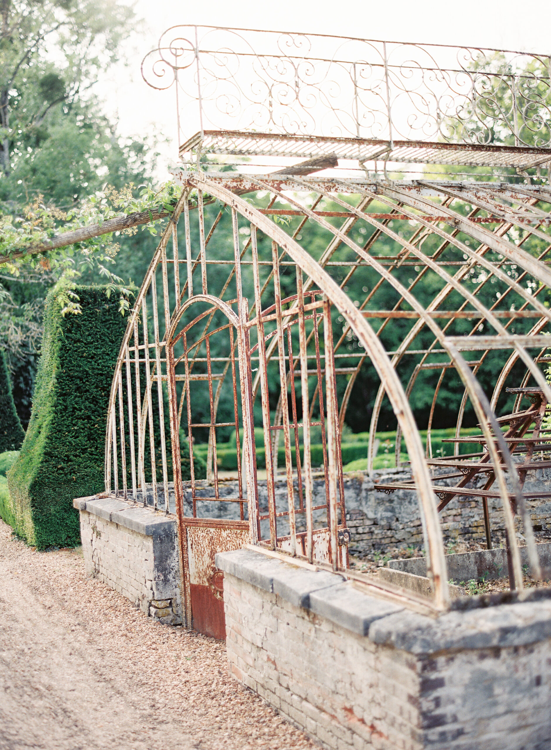 greenhouse spring engagement photos