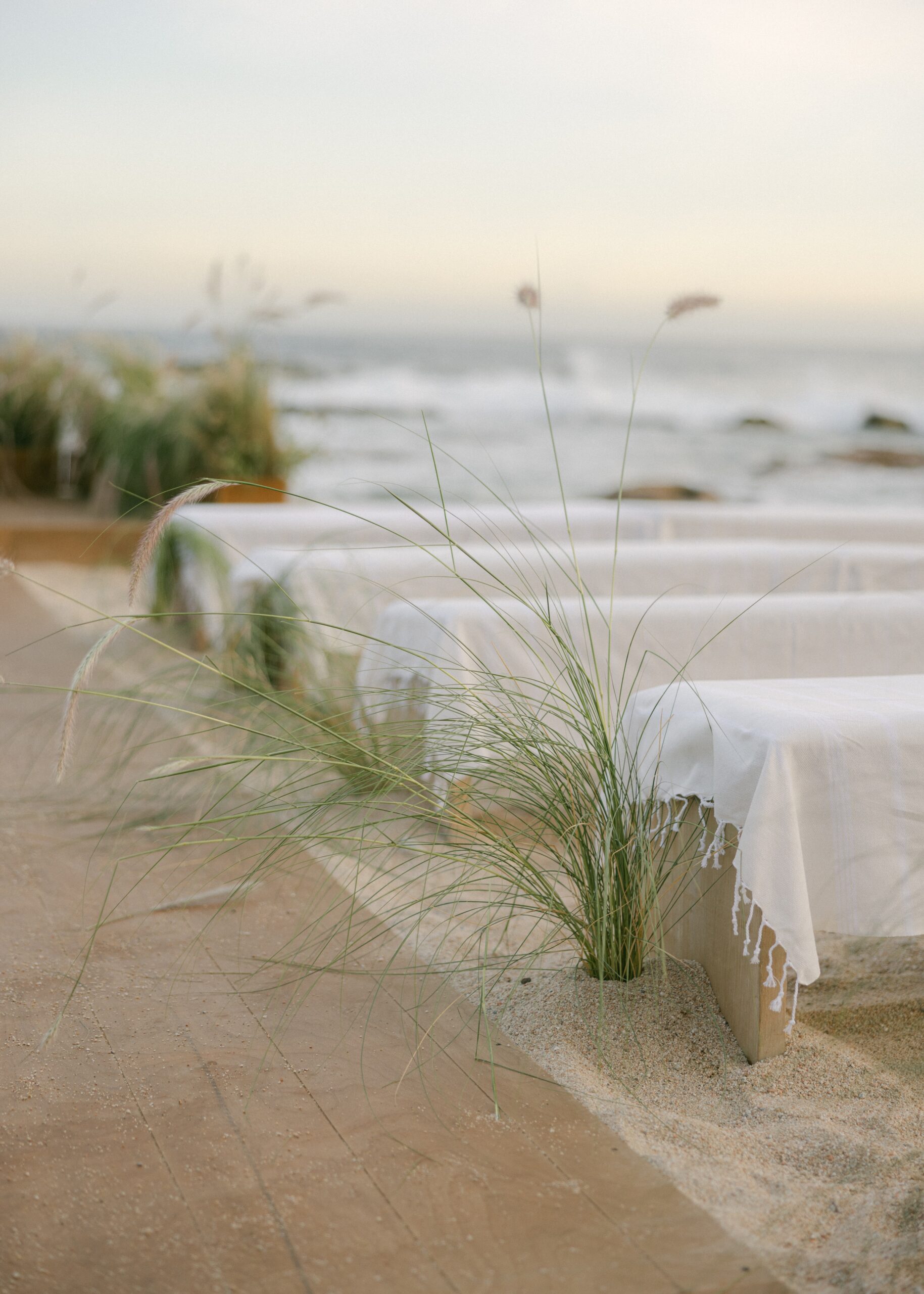 cabo wedding ceremony 